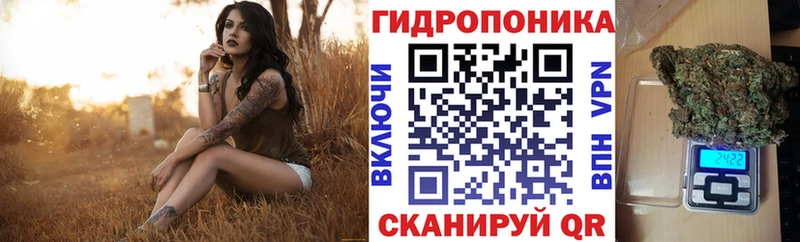 Купить закладку ГАШ  Каннабис  А ПВП  Мефедрон  COCAIN  Людиново