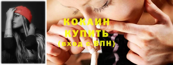 шишки Карталы