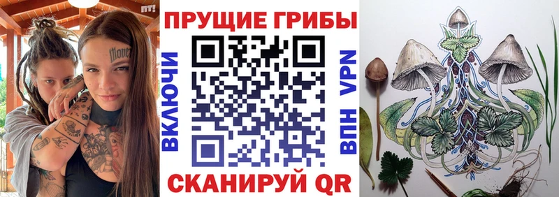 Псилоцибиновые грибы мухоморы  Купить где  Людиново 